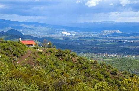 Η πλούσια βλάστηση