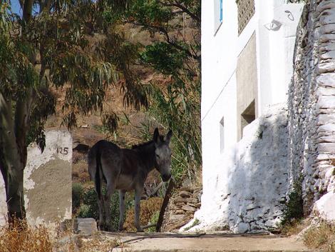 Γαλανή